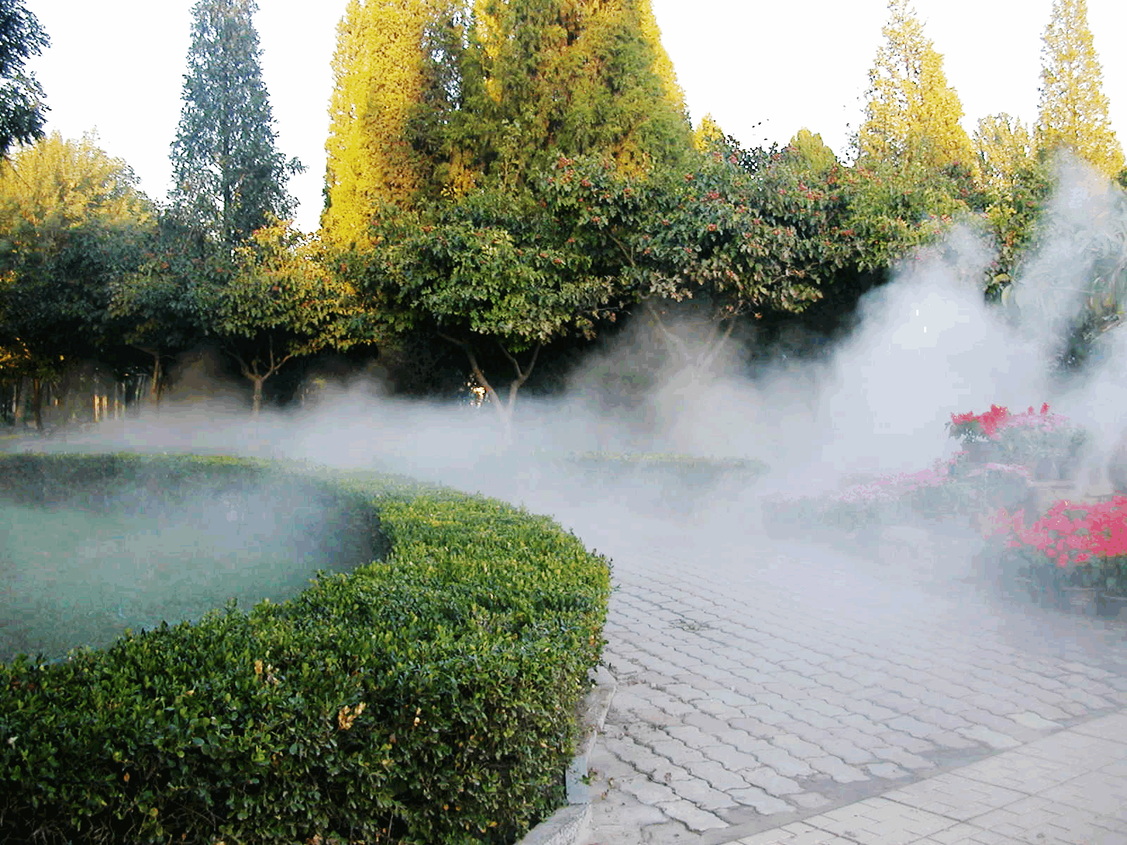 霧森景觀造霧