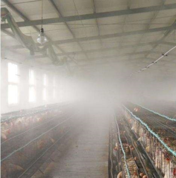 養(yǎng)雞場(chǎng)除臭噴淋系統(tǒng)